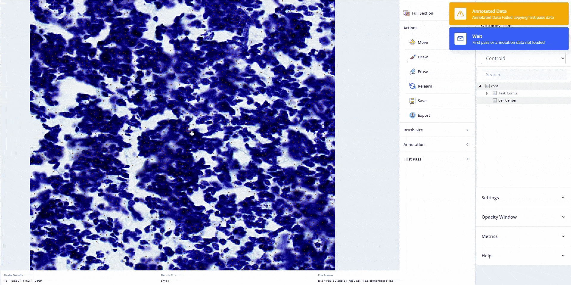 Cell Annotation Tool
